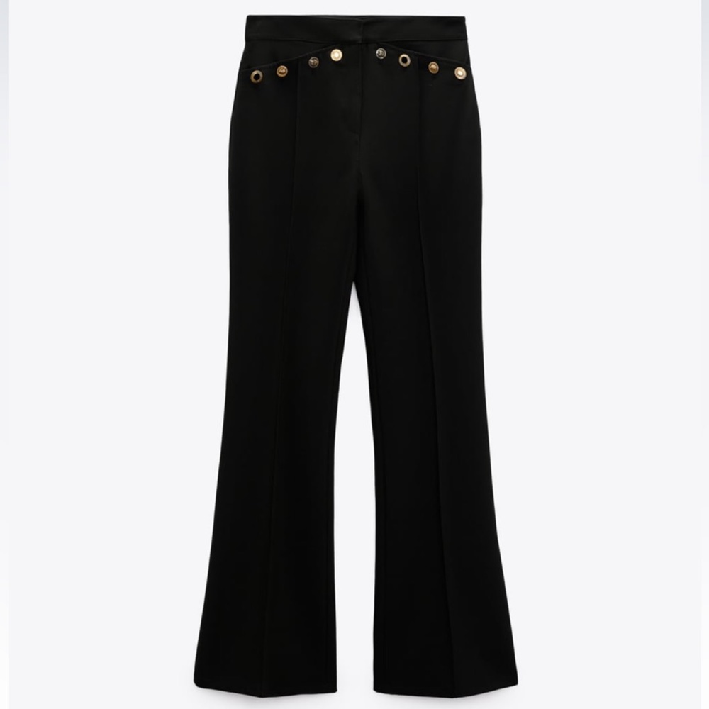 Zara Metal Buttoned Flare Plants